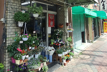 矢作生花店